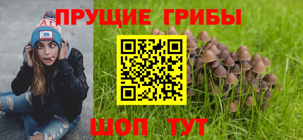 Нижнеудинск  хочу наркоту  Вход с VPN  Псилоцибиновые грибы Psilocybe 